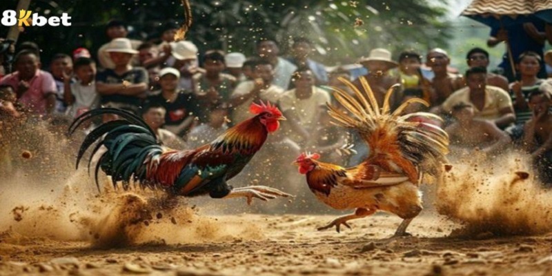Nắm luật hợp pháp giúp người chơi tự tin thắng đậm mỗi trận