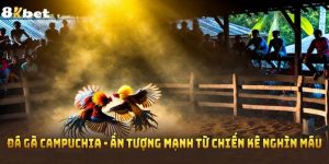 Đá Gà Campuchia - Ấn Tượng Mạnh Từ Chiến Kê Nghìn Máu 